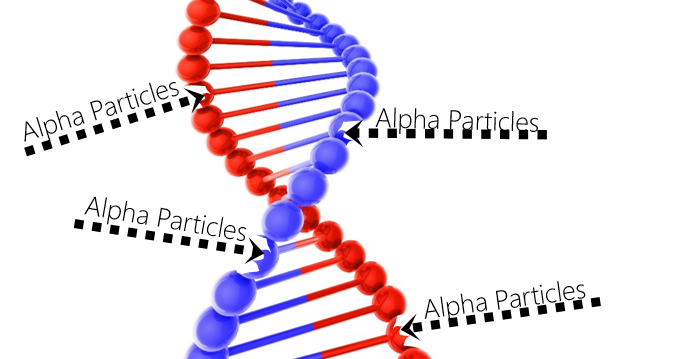Illustrazione particelle alfa che colpiscono e rompono la doppia elica del DNA